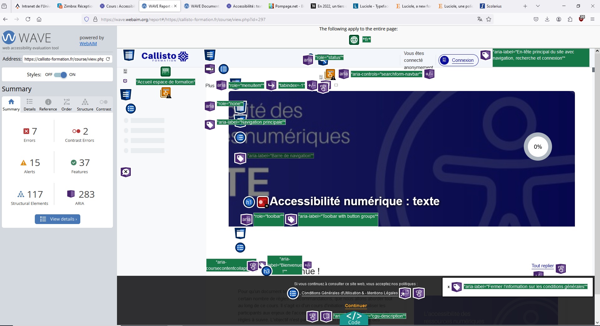 Capture d'écran de la page de cours qui montre que l'outil Wave détecte deux erreurs de contraste