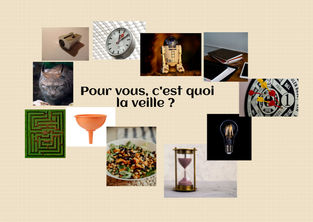 images représentant la veille