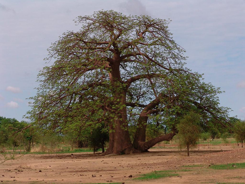 Image du parcours "la gestion des données de recherche en environnement"