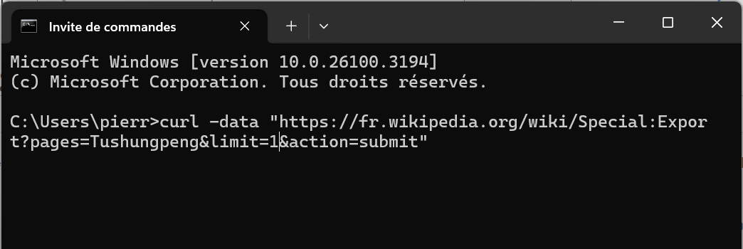 Invite de commande Windows.