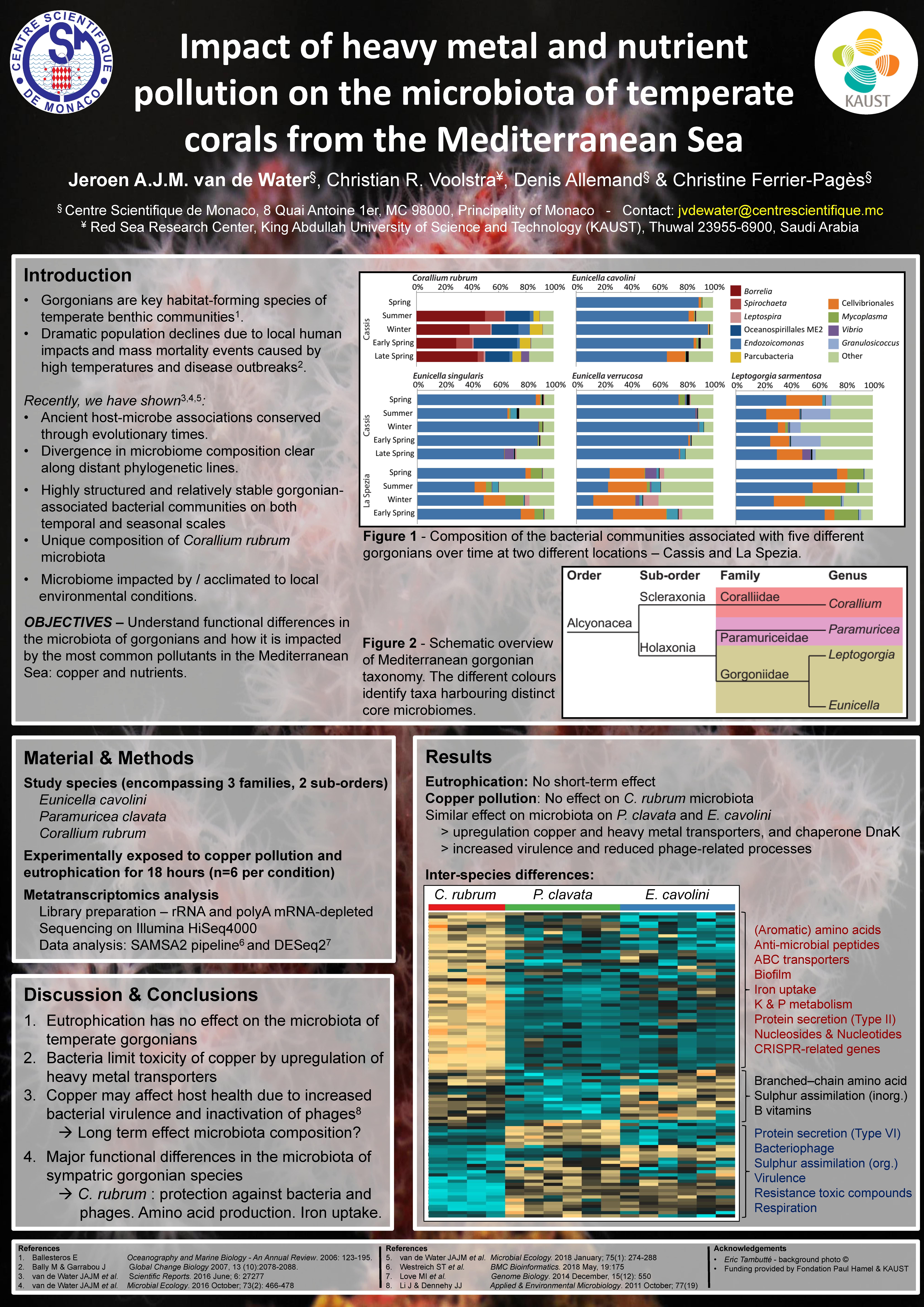 Exemple de poster scientifique sur l'impact de la pollution sur des coraux.